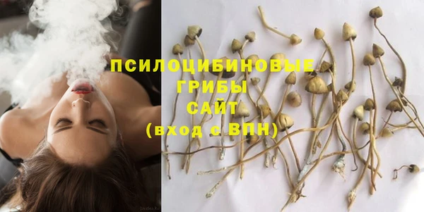 синтетический гашиш Арсеньев