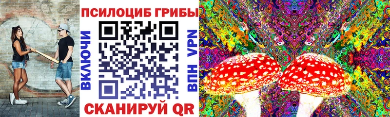 Псилоцибиновые грибы прущие грибы Пущино