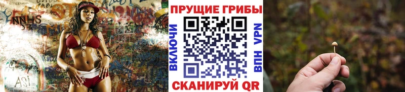 Галлюциногенные грибы мицелий  цена наркотик  Пущино 